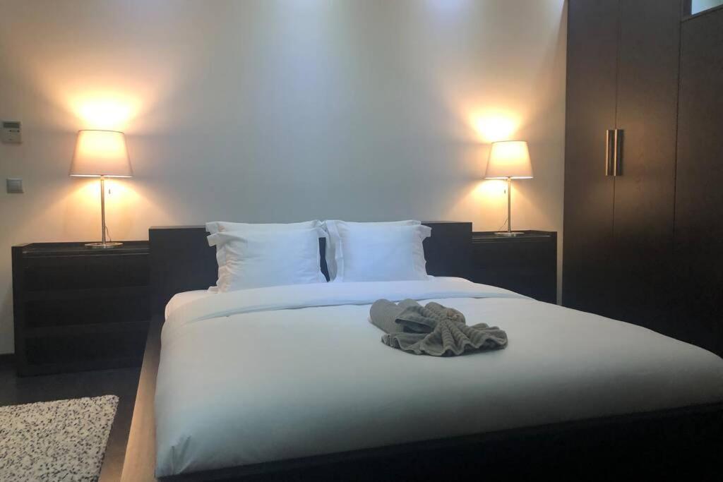 Ioannina Luxury Suites & Apartments Dış mekan fotoğraf